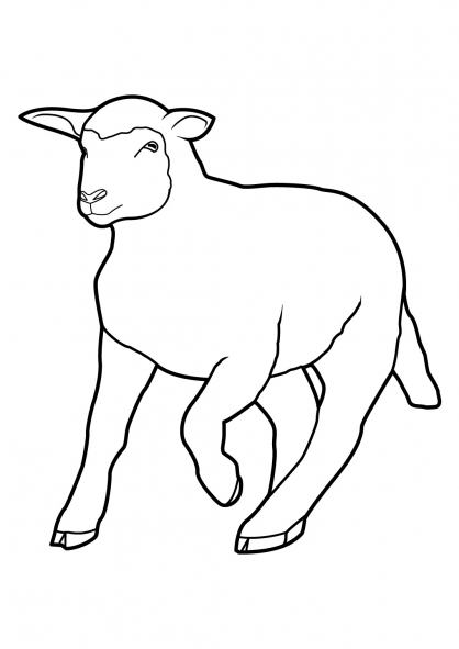 Раскраска: овца (Животные) #11428 - Бесплатные раскраски для печати
