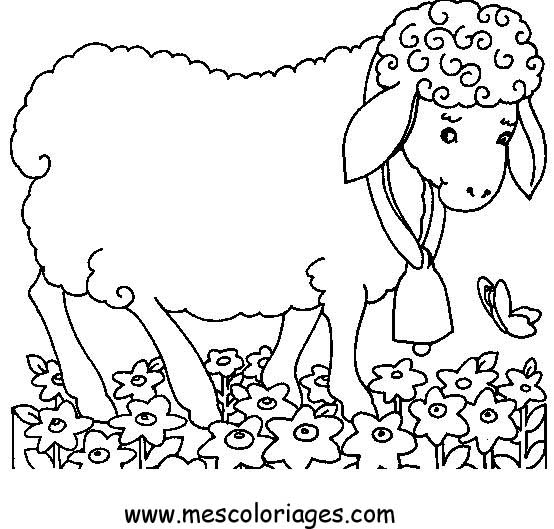 Раскраска: овца (Животные) #11429 - Бесплатные раскраски для печати