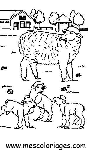 Раскраска: овца (Животные) #11474 - Бесплатные раскраски для печати