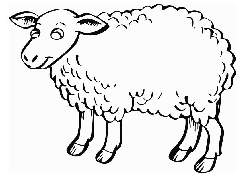 Раскраска: овца (Животные) #11503 - Бесплатные раскраски для печати