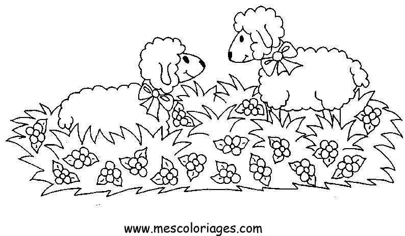 Раскраска: овца (Животные) #11516 - Бесплатные раскраски для печати