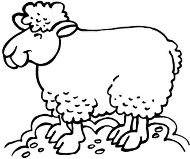 Раскраска: овца (Животные) #11571 - Бесплатные раскраски для печати