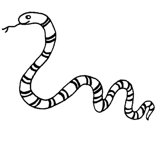 Раскраска: змея (Животные) #14349 - Бесплатные раскраски для печати