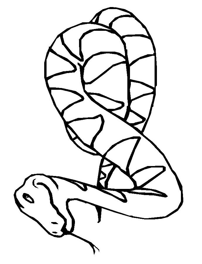 Раскраска: змея (Животные) #14360 - Бесплатные раскраски для печати