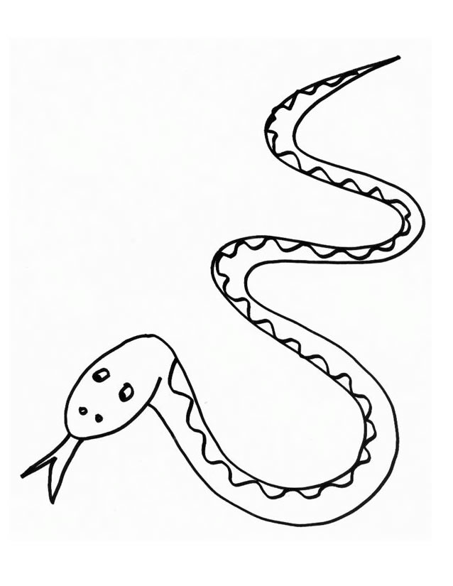 Раскраска: змея (Животные) #14370 - Бесплатные раскраски для печати