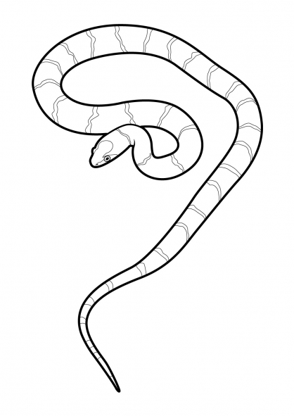 Раскраска: змея (Животные) #14410 - Бесплатные раскраски для печати