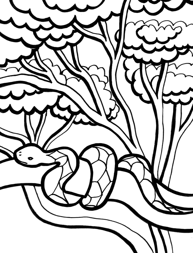 Раскраска: змея (Животные) #14453 - Бесплатные раскраски для печати