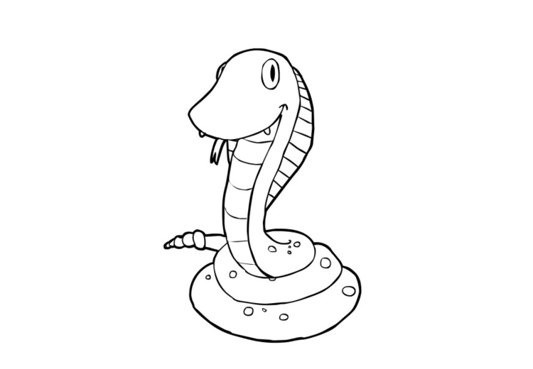 Раскраска: змея (Животные) #14460 - Бесплатные раскраски для печати