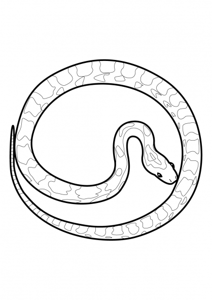 Раскраска: змея (Животные) #14482 - Бесплатные раскраски для печати