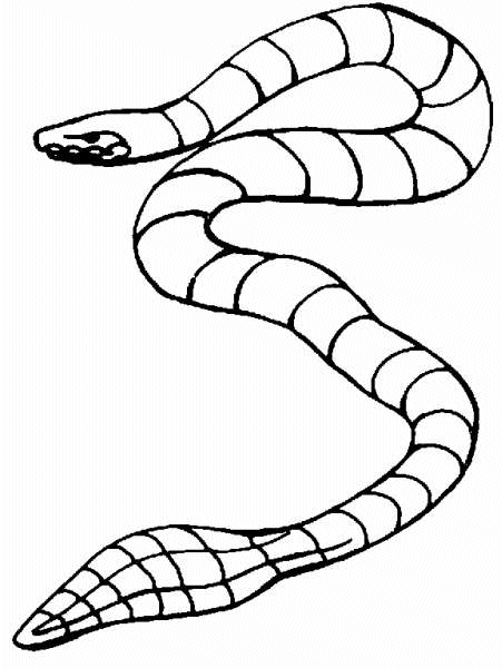 Раскраска: змея (Животные) #14512 - Бесплатные раскраски для печати