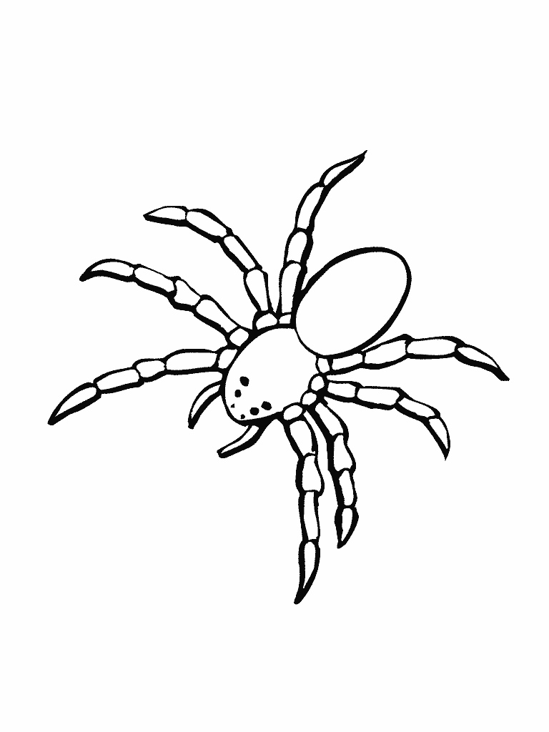 Раскраска: паук (Животные) #583 - Бесплатные раскраски для печати