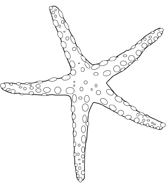 Раскраска: морская звезда (Животные) #6703 - Бесплатные раскраски для печати