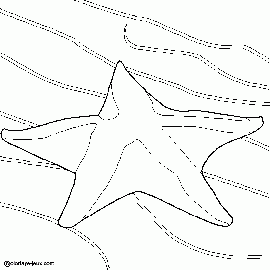 Раскраска: морская звезда (Животные) #6715 - Бесплатные раскраски для печати