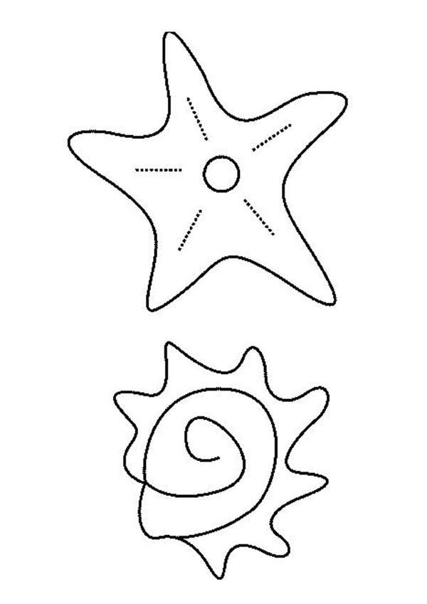Раскраска: морская звезда (Животные) #6723 - Бесплатные раскраски для печати