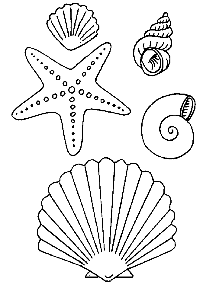 Раскраска: морская звезда (Животные) #6794 - Бесплатные раскраски для печати