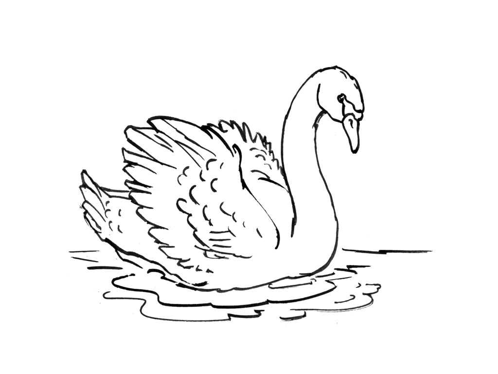 Раскраска: лебедь (Животные) #4992 - Бесплатные раскраски для печати