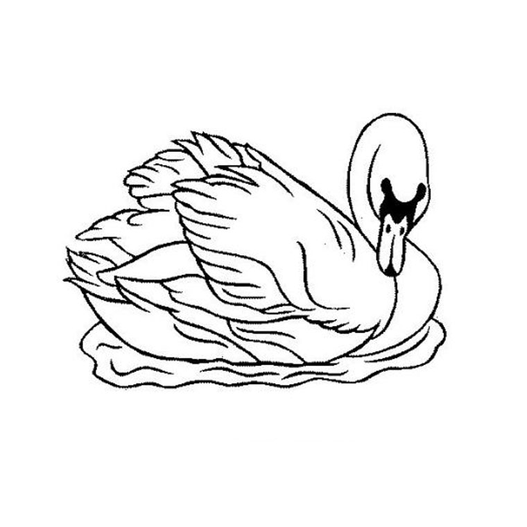 Раскраска: лебедь (Животные) #4993 - Бесплатные раскраски для печати