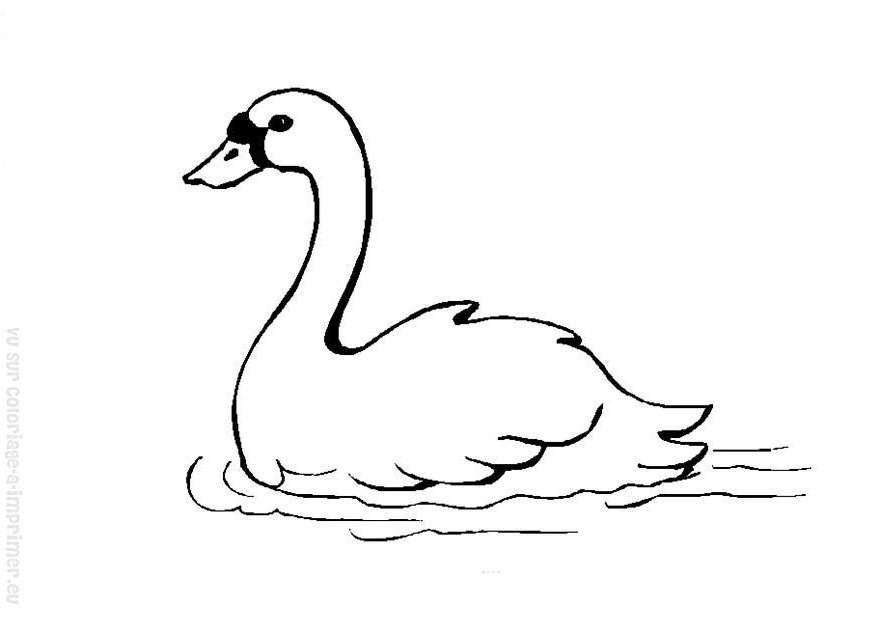 Раскраска: лебедь (Животные) #4995 - Бесплатные раскраски для печати
