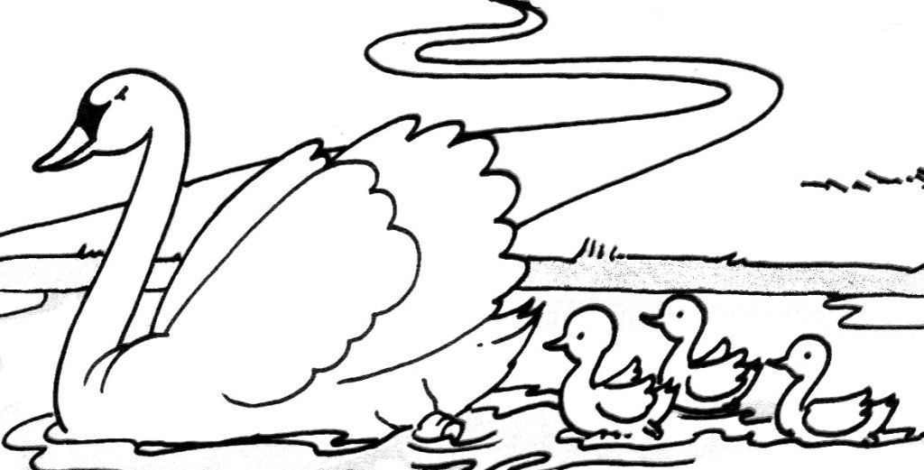 Раскраска: лебедь (Животные) #5008 - Бесплатные раскраски для печати