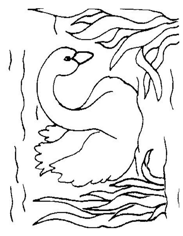 Раскраска: лебедь (Животные) #5009 - Бесплатные раскраски для печати