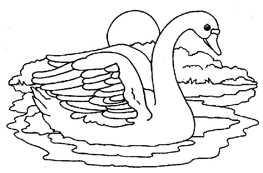 Раскраска: лебедь (Животные) #5031 - Бесплатные раскраски для печати