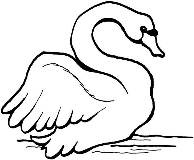 Раскраска: лебедь (Животные) #5033 - Бесплатные раскраски для печати