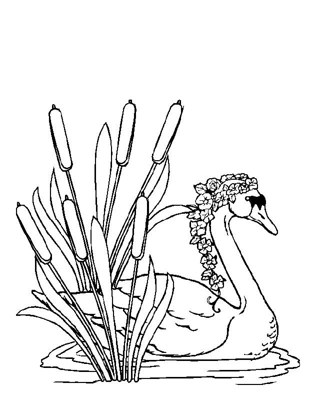 Раскраска: лебедь (Животные) #5038 - Бесплатные раскраски для печати