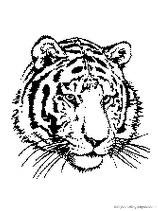 Раскраска: Tigris (Животные) #13592 - Бесплатные раскраски для печати