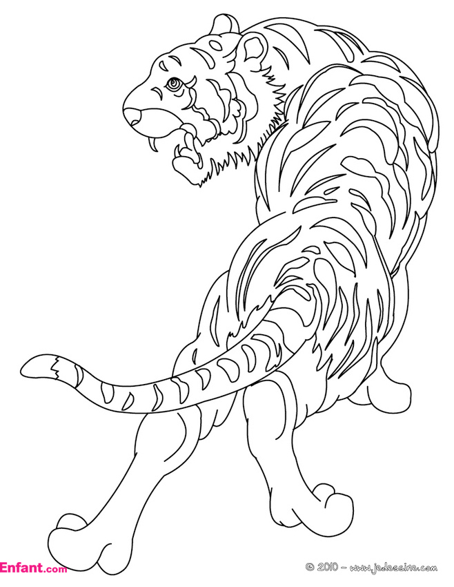 Раскраска: Tigris (Животные) #13600 - Бесплатные раскраски для печати