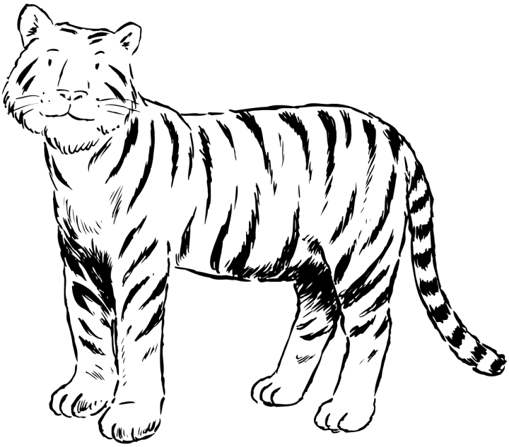 Раскраска: Tigris (Животные) #13621 - Бесплатные раскраски для печати