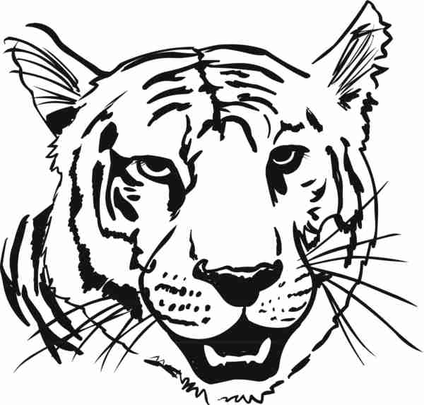 Раскраска: Tigris (Животные) #13666 - Бесплатные раскраски для печати