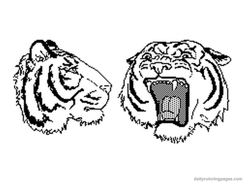 Раскраска: Tigris (Животные) #13697 - Бесплатные раскраски для печати