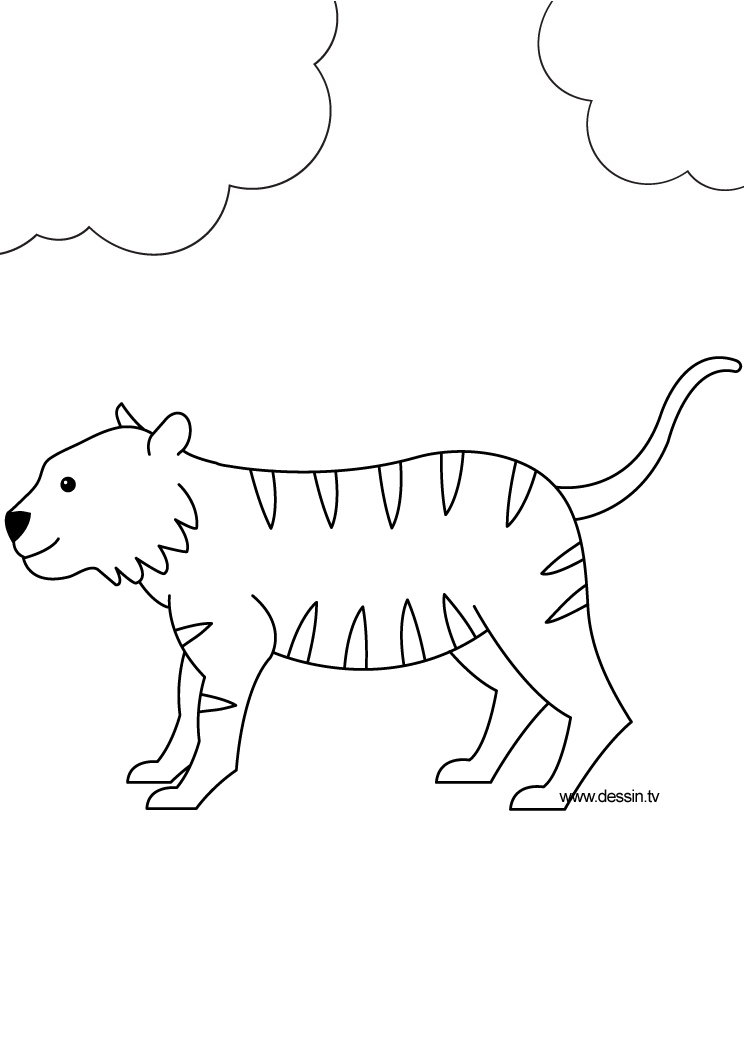 Раскраска: Tigris (Животные) #13733 - Бесплатные раскраски для печати