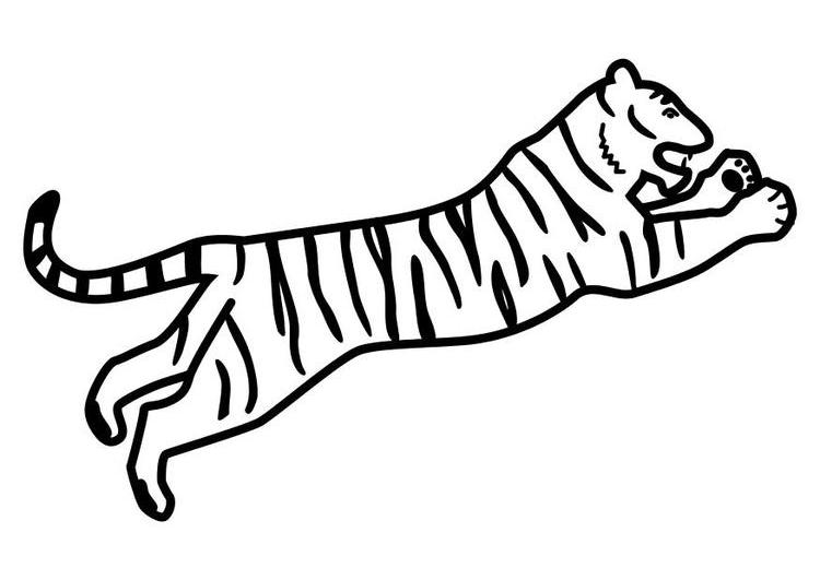 Раскраска: Tigris (Животные) #13780 - Бесплатные раскраски для печати