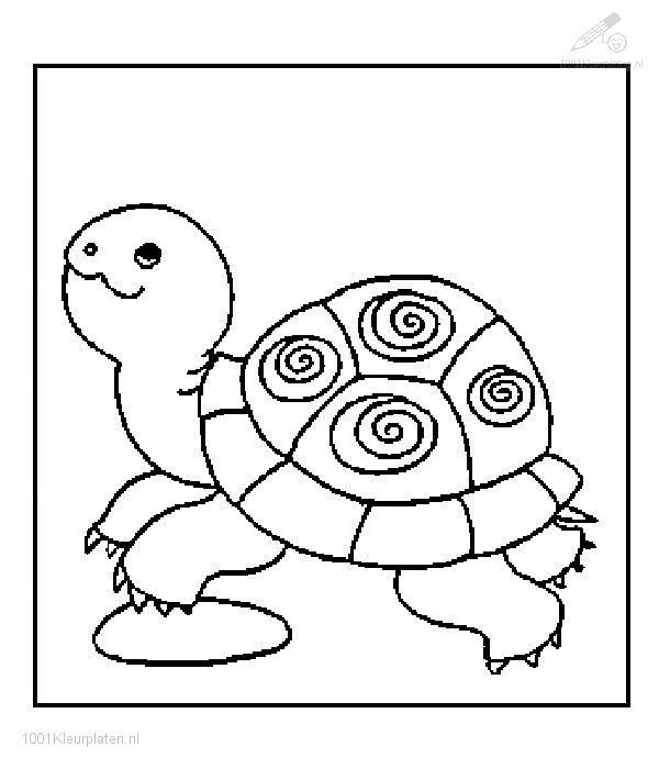 Раскраска: черепаха (Животные) #13432 - Бесплатные раскраски для печати