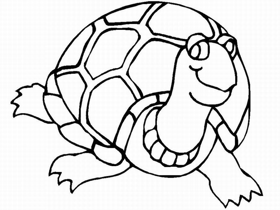 Раскраска: черепаха (Животные) #13448 - Бесплатные раскраски для печати