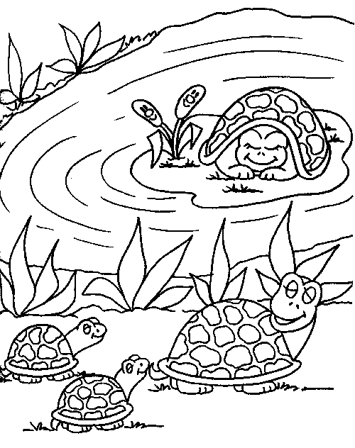 Раскраска: черепаха (Животные) #13468 - Бесплатные раскраски для печати