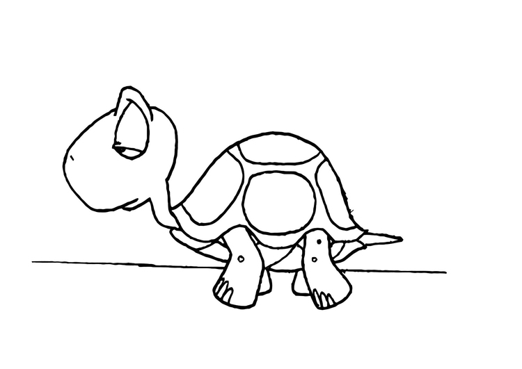 Раскраска: черепаха (Животные) #13490 - Бесплатные раскраски для печати