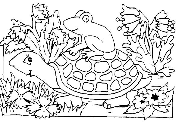 Раскраска: черепаха (Животные) #13557 - Бесплатные раскраски для печати