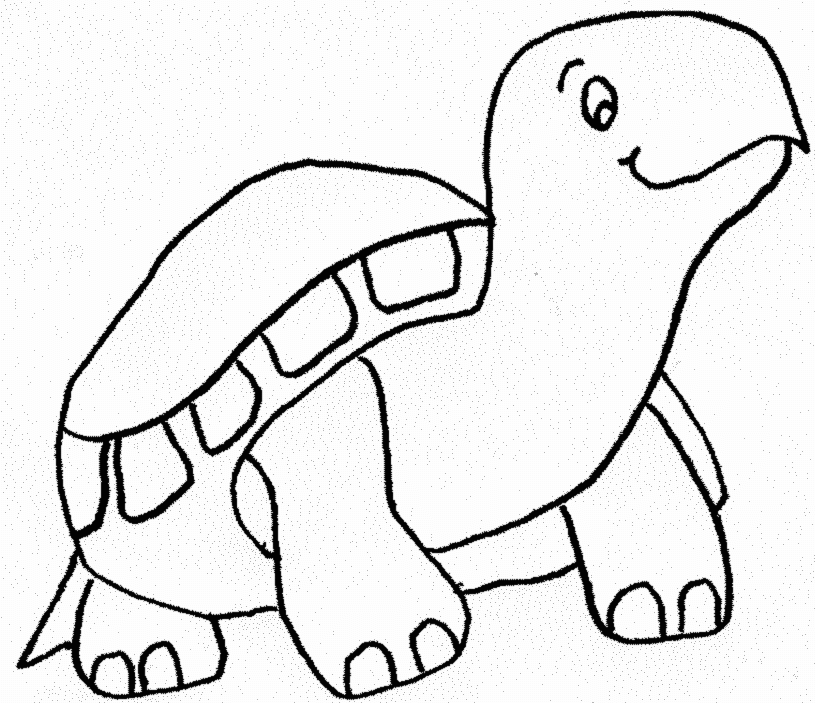 Раскраска: черепаха (Животные) #13580 - Бесплатные раскраски для печати