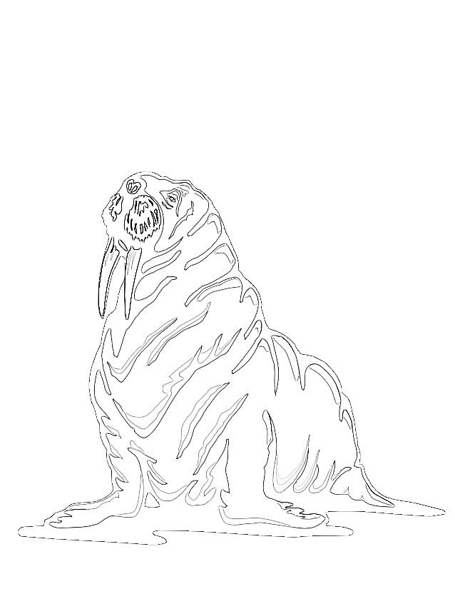 Раскраска: морж (Животные) #16574 - Бесплатные раскраски для печати