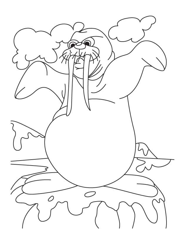 Раскраска: морж (Животные) #16656 - Бесплатные раскраски для печати