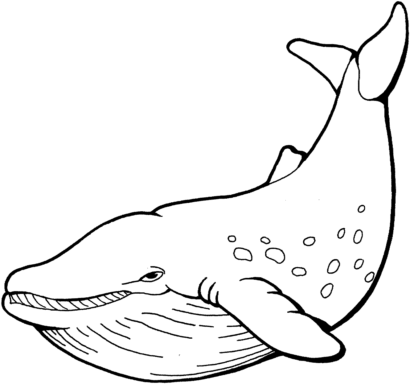 Раскраска: кит (Животные) #866 - Бесплатные раскраски для печати
