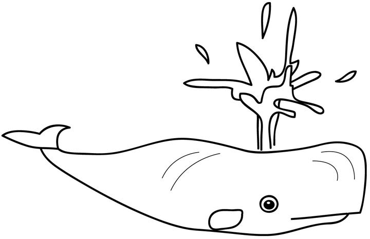 Раскраска: кит (Животные) #908 - Бесплатные раскраски для печати