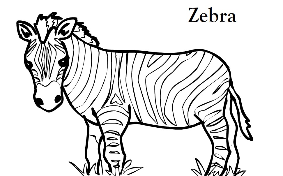 Раскраска: зебра (Животные) #12938 - Бесплатные раскраски для печати