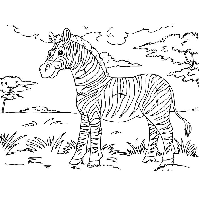 Раскраска: зебра (Животные) #12943 - Бесплатные раскраски для печати