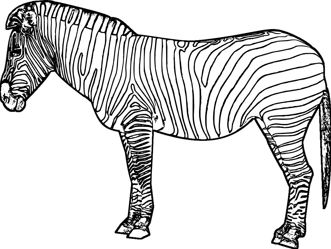 Раскраска: зебра (Животные) #12961 - Бесплатные раскраски для печати