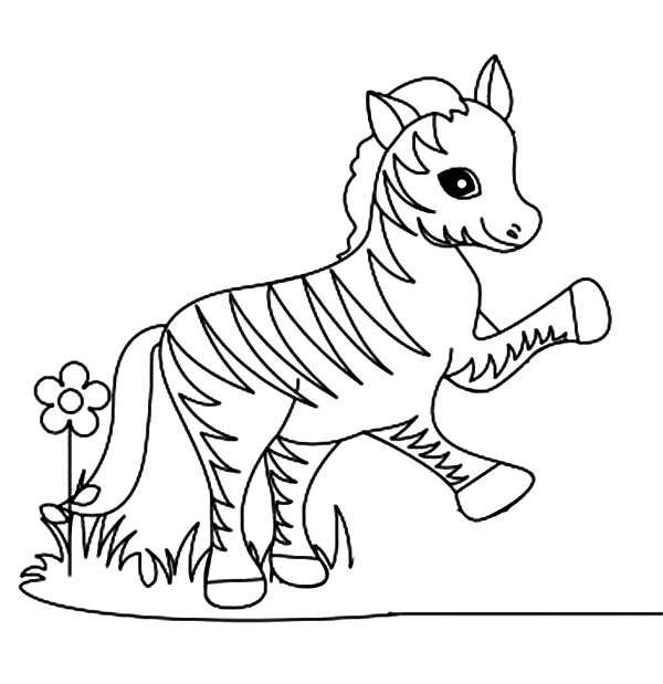 Раскраска: зебра (Животные) #12986 - Бесплатные раскраски для печати