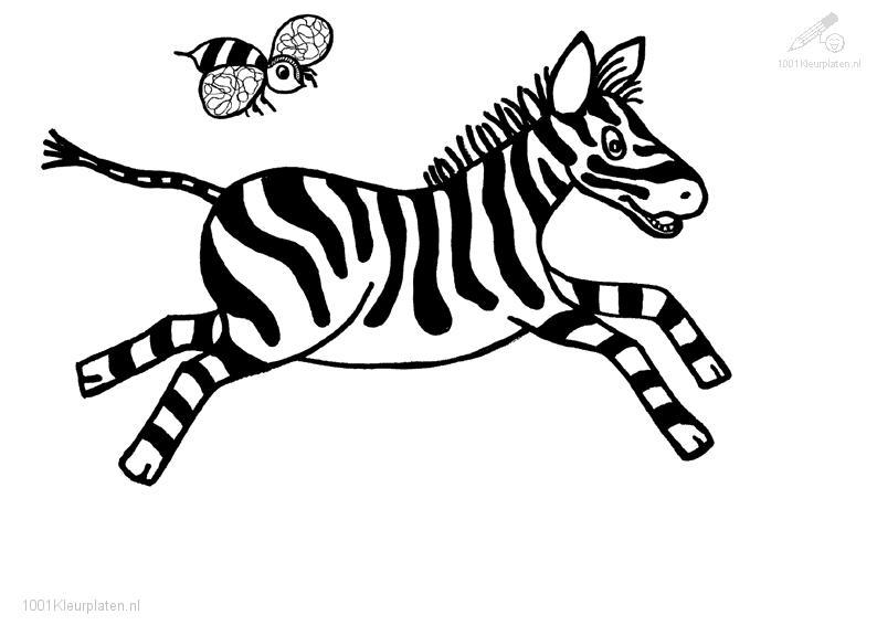 Раскраска: зебра (Животные) #13003 - Бесплатные раскраски для печати