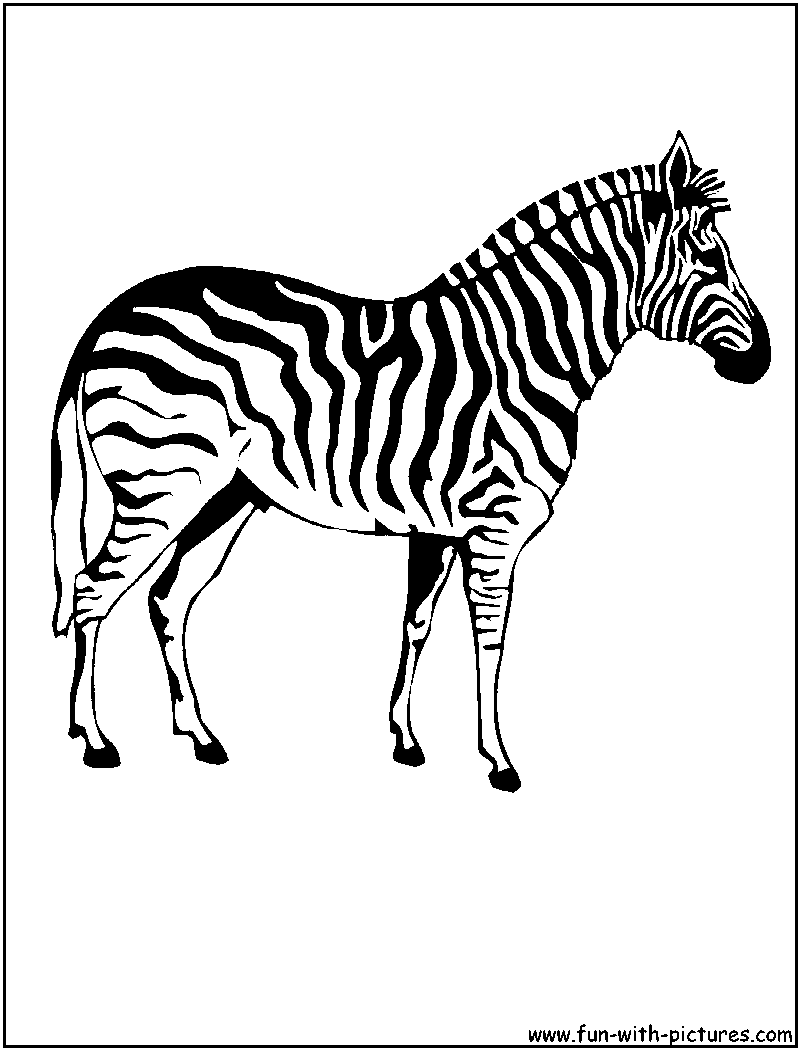 Раскраска: зебра (Животные) #13037 - Бесплатные раскраски для печати